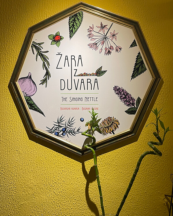 Zara iz duvara - The signging nettle